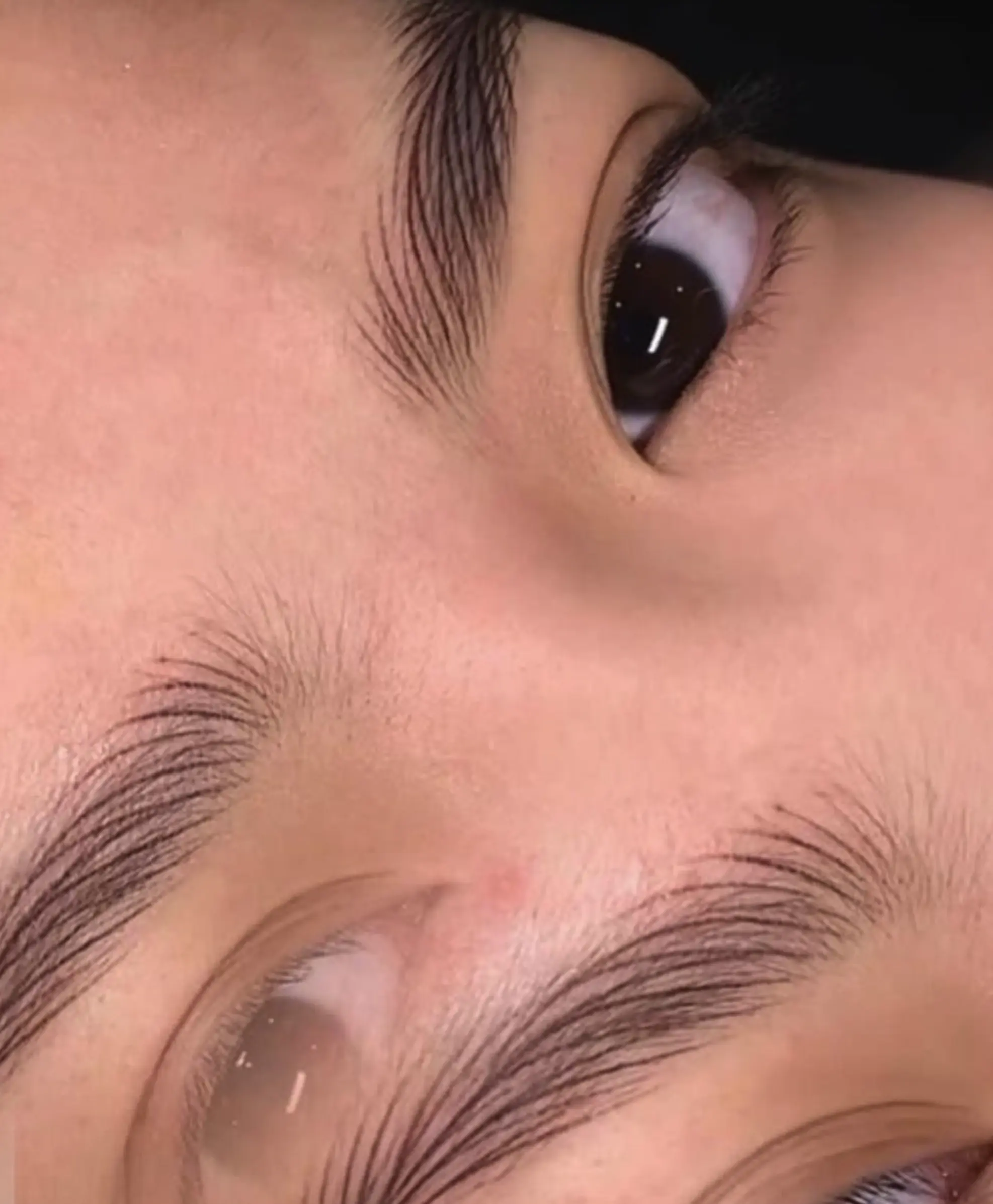 Microblading vs. Microshading