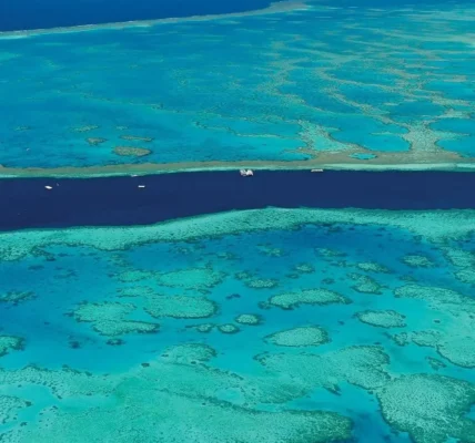Outer Reef vs. Inner Reef, Why Your Choice of Location Changes Everything