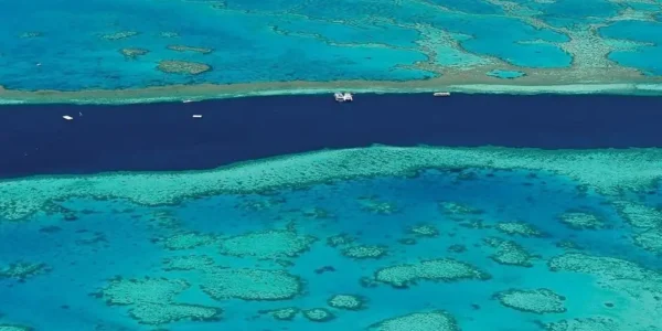 Outer Reef vs. Inner Reef, Why Your Choice of Location Changes Everything
