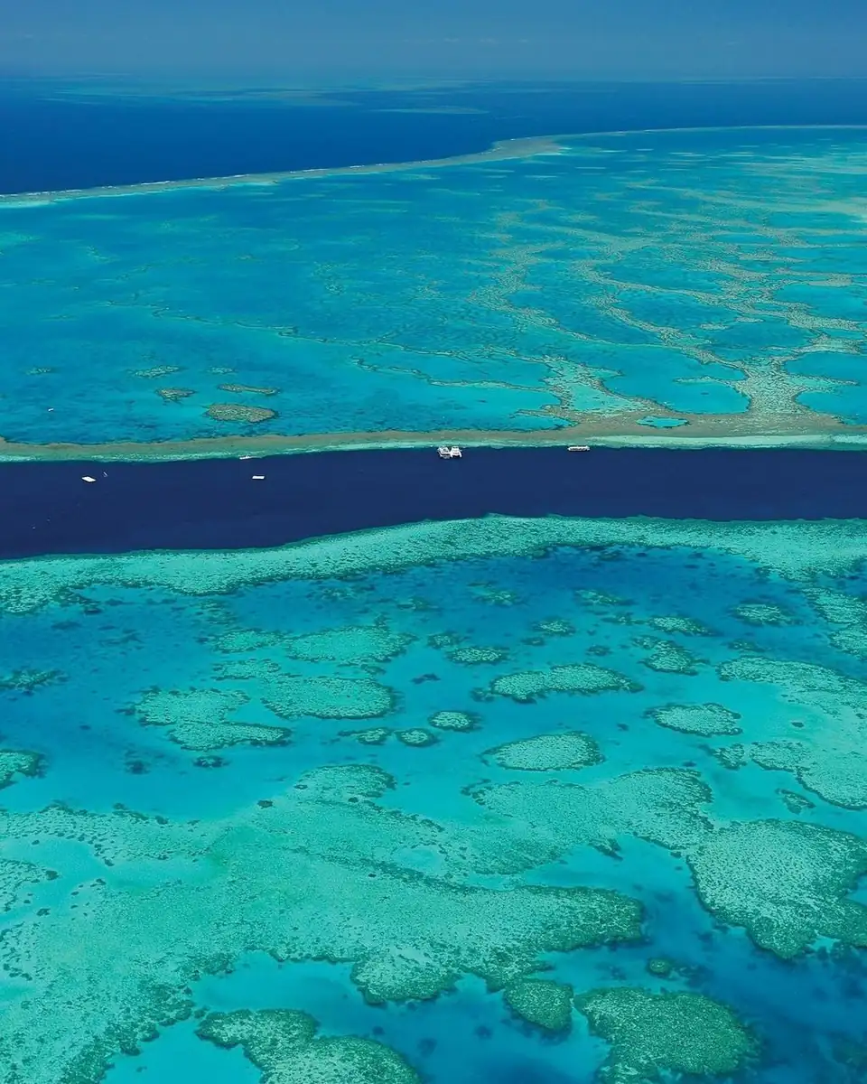 Outer Reef vs. Inner Reef, Why Your Choice of Location Changes Everything
