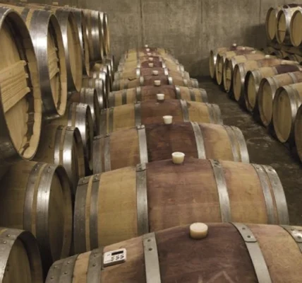 Yarra Valley Wine Tours from Melbourne