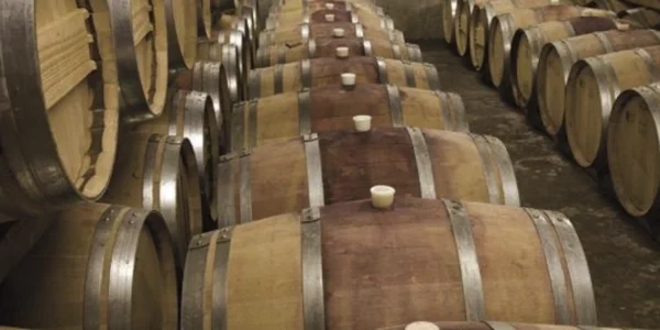 Yarra Valley Wine Tours from Melbourne