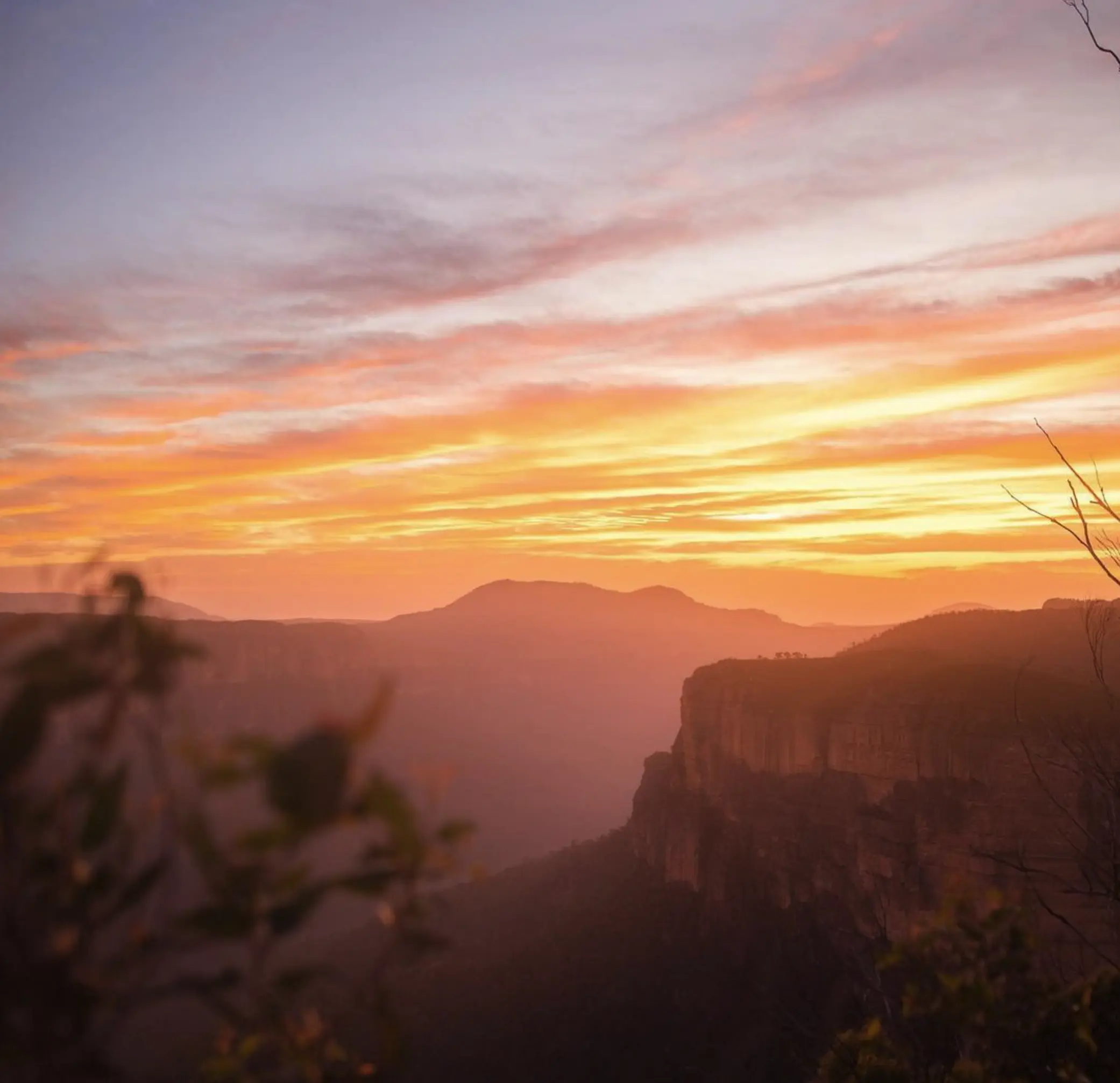 blue mountains tours