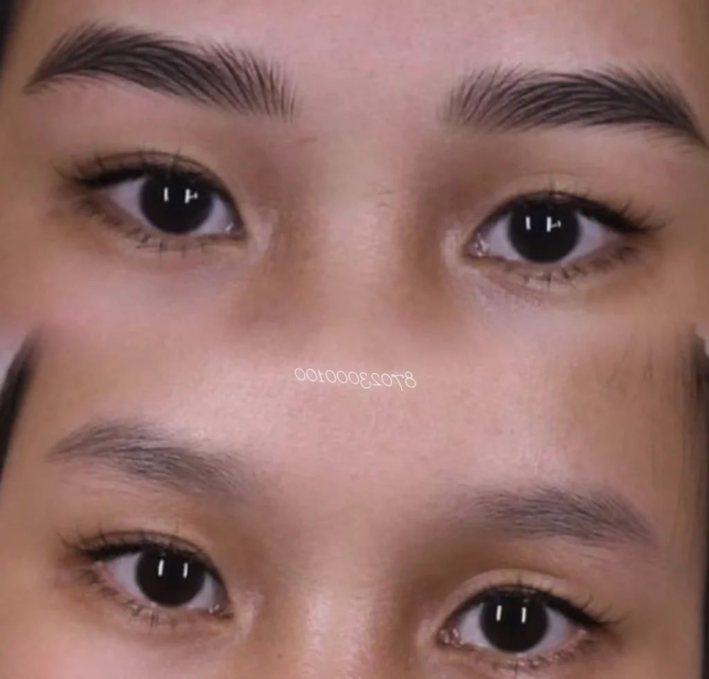 ombre microblading vs microshading
